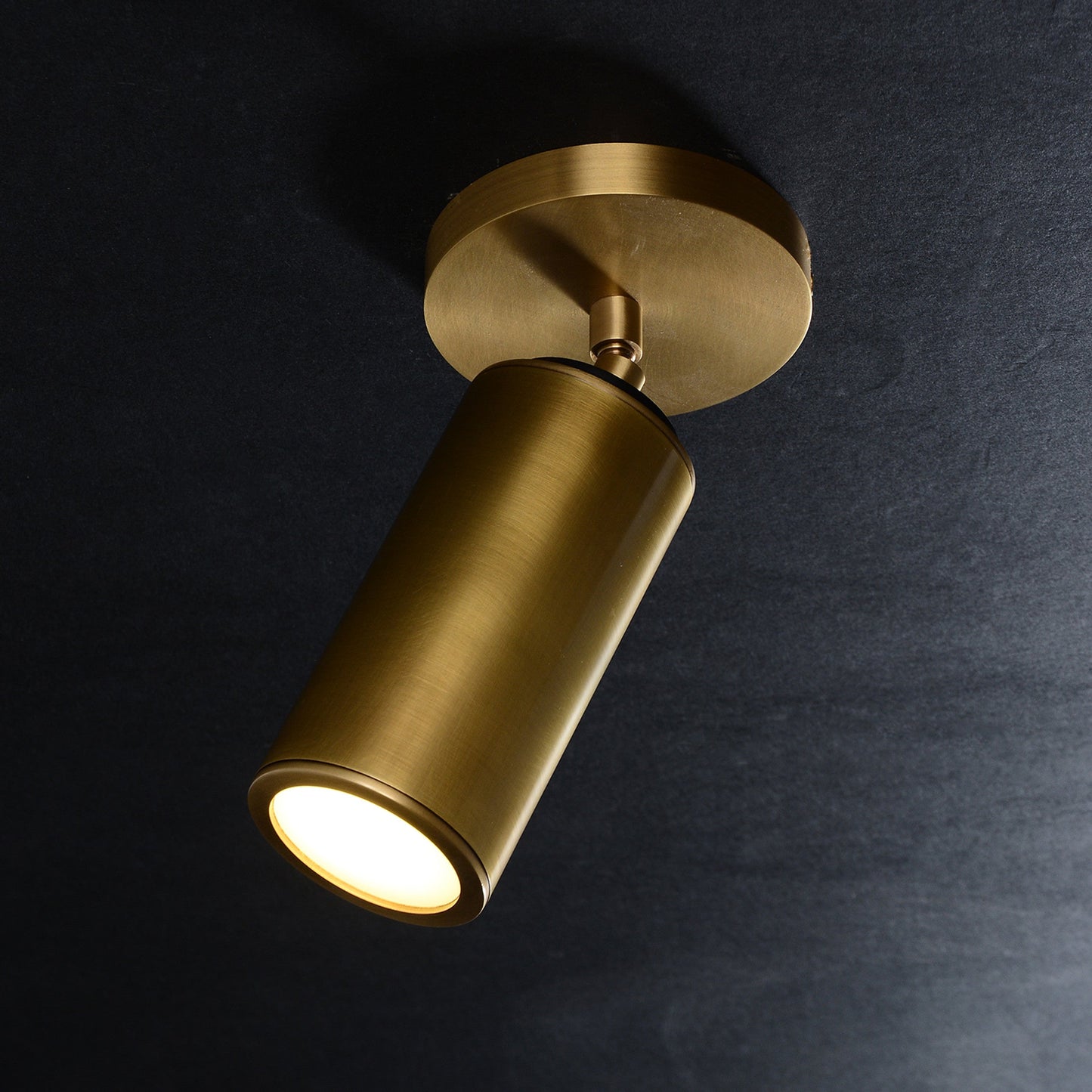 Cameron Adjustable Flushmount Brass