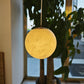 Alabaster Constellation Chandelier, Multi Pendant Light