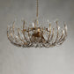 Adela Glass Petal 8 Light Chandelier