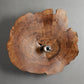 Arruga Sconce