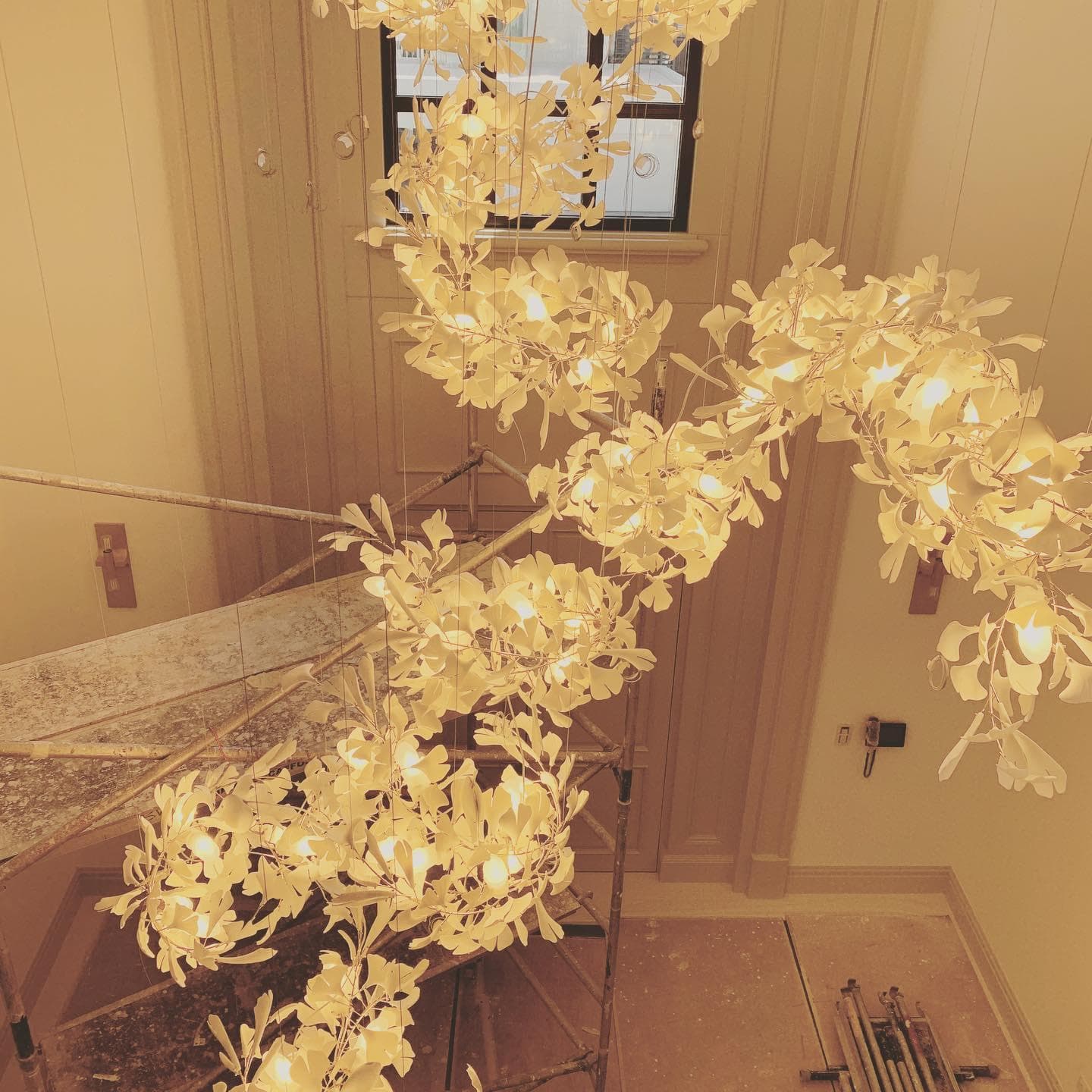 Gingko Chandelier C USE White and Gold