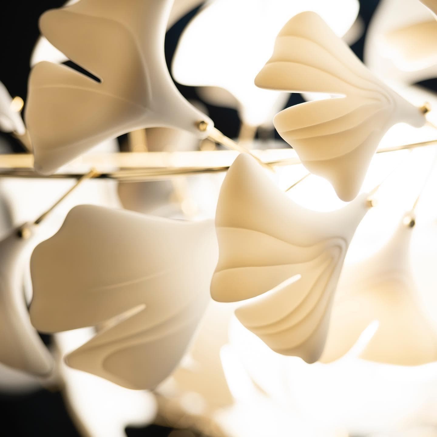 Gingko Chandelier C USE White and Gold