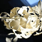 Gingko Chandelier N USE White and Gold
