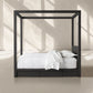 Ludwig Canopy Storage Bed